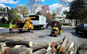 Best Weed Control  in Mason, OH