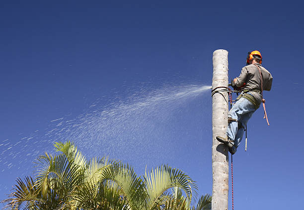 Best Lawn Watering Services  in Mason, OH